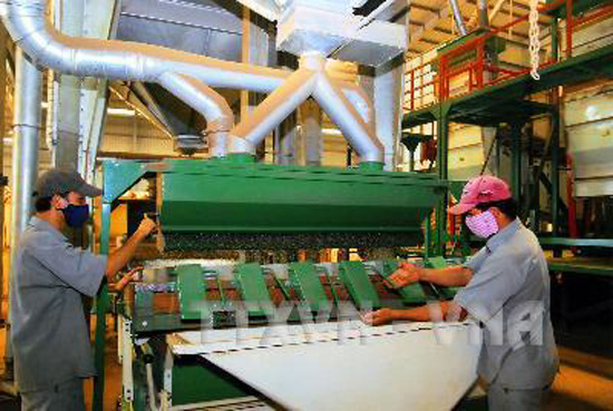 Tăng tỷ lệ cà phê nhân chế biến sâu ảnh 1